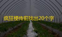 疯狂梗传蓟找出20个字攻略